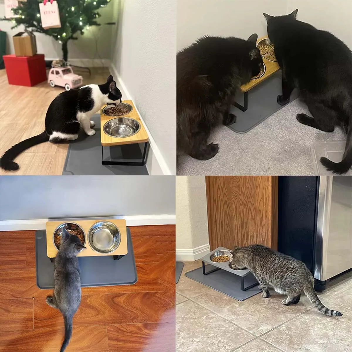 Elevated Pet Bowls Raised Cat Bowl With Stainless Steel & 15° Tilted Design Anti Vomiting Non-Slip Feeder For All Cats And Puppy