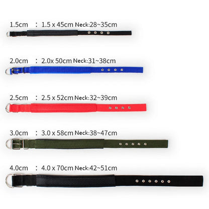 Durable Padded Puppy Big Dog Collars for Small Large Dogs Adjustable Nylon Collar Pet Accessories Greyhound Wheeling Supplies