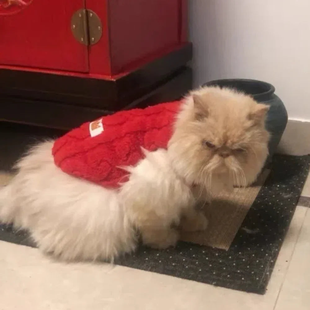 Soft Fleece Dog Clothes For Small Dogs Cats Sweater Autumn Winter Warm Puppy Vest Apparel French Bulldog Yorkshire Pet Costume