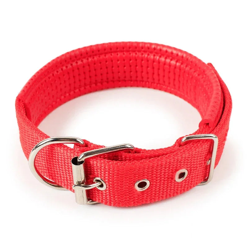 Durable Padded Puppy Big Dog Collars for Small Large Dogs Adjustable Nylon Collar Pet Accessories Greyhound Wheeling Supplies