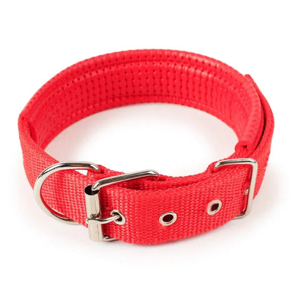 Durable Padded Puppy Big Dog Collars for Small Large Dogs Adjustable Nylon Collar Pet Accessories Greyhound Wheeling Supplies