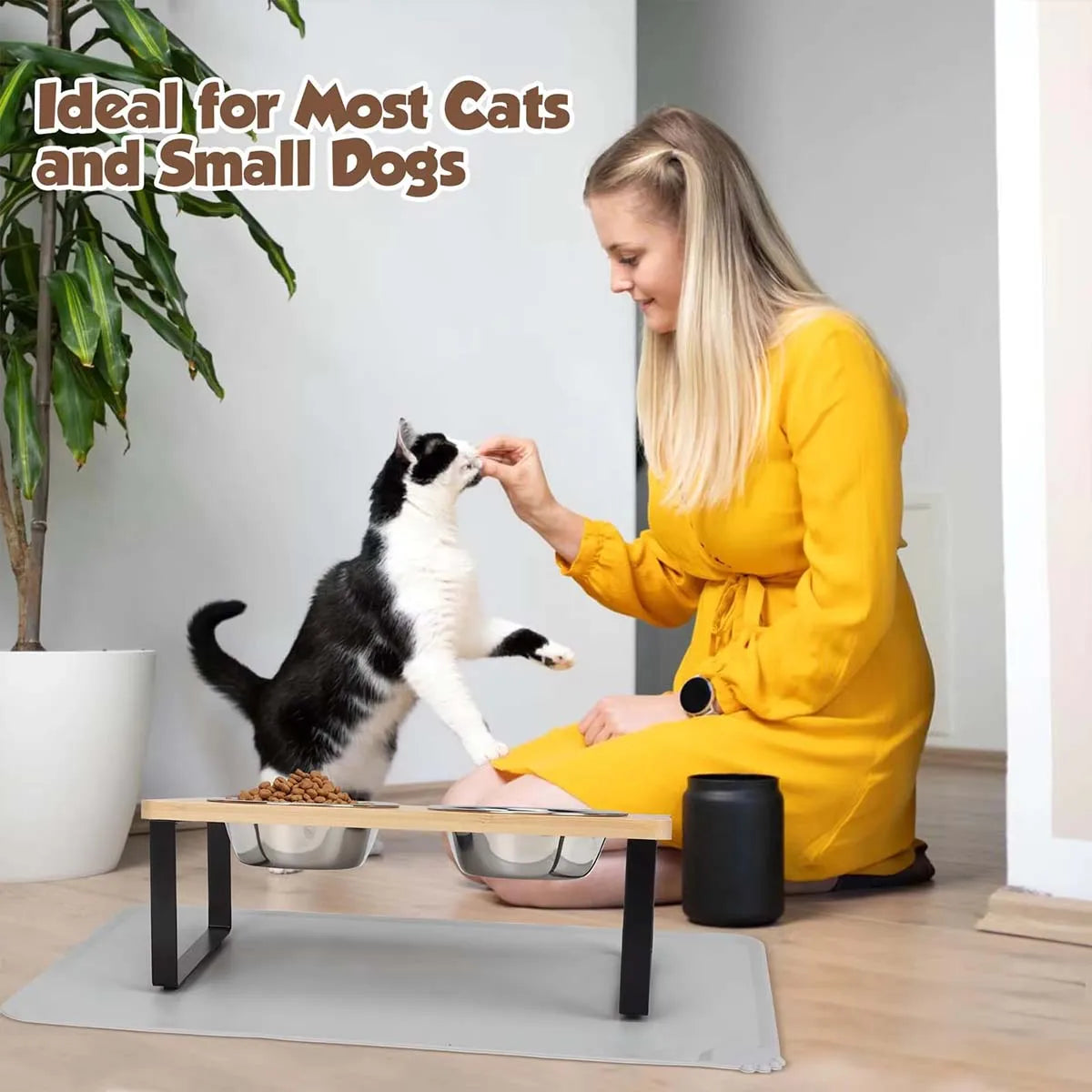 Elevated Pet Bowls Raised Cat Bowl With Stainless Steel & 15° Tilted Design Anti Vomiting Non-Slip Feeder For All Cats And Puppy
